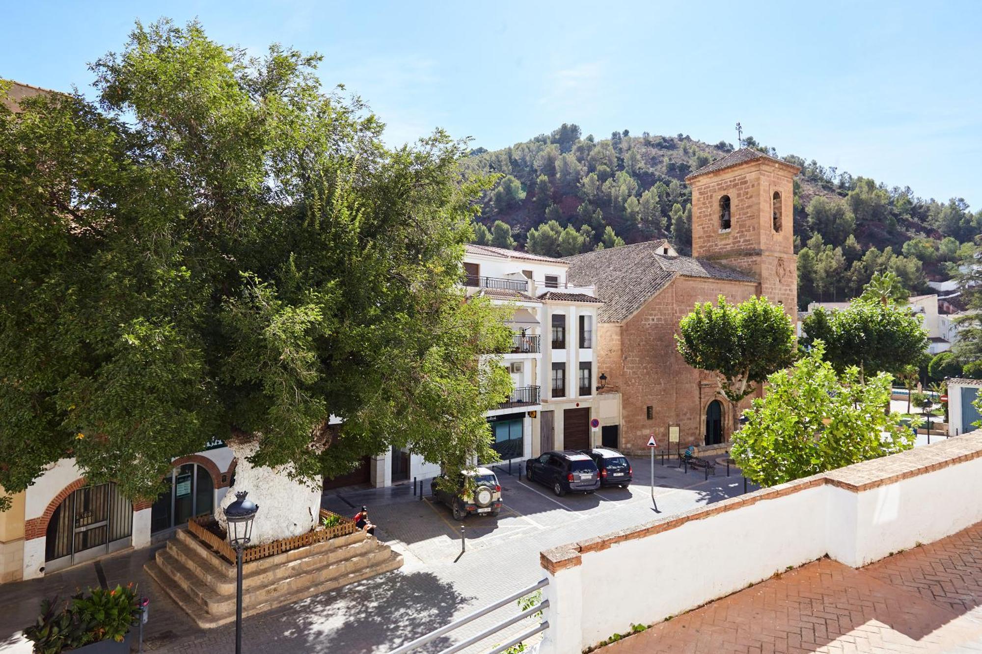 Casa Del Alamo